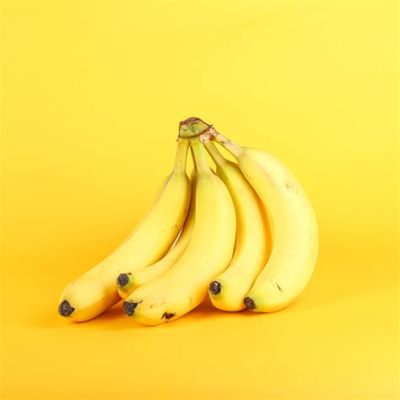 How to Start a Music Publishing Company: Why Bananas Might Be the Key to Your Success