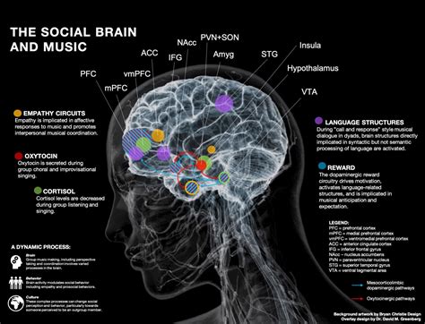 Why Do People Make Music and the Emotional Journey It Encourages